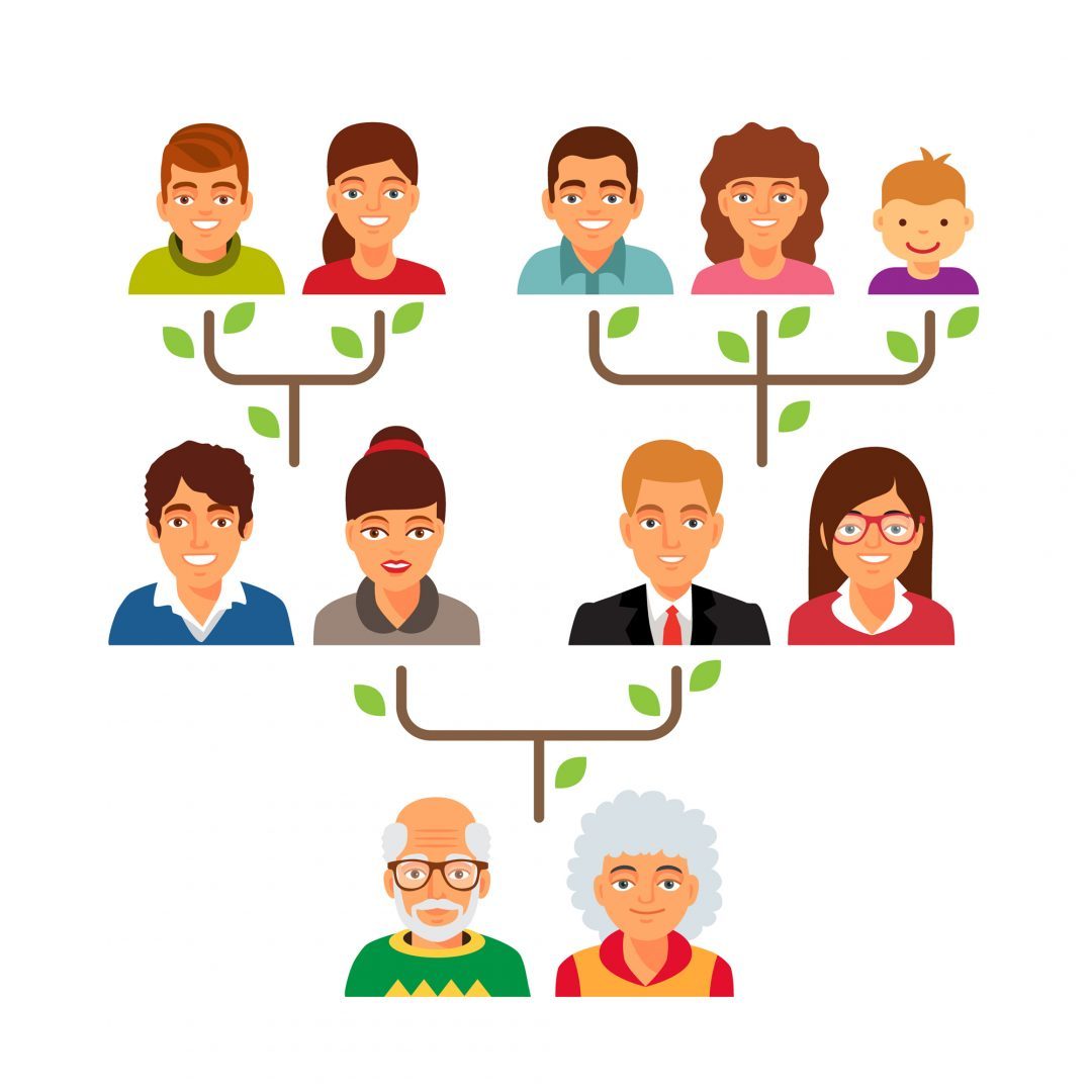 Family genealogy tree diagram chart. Flat style vector illustration isolated on white background.
